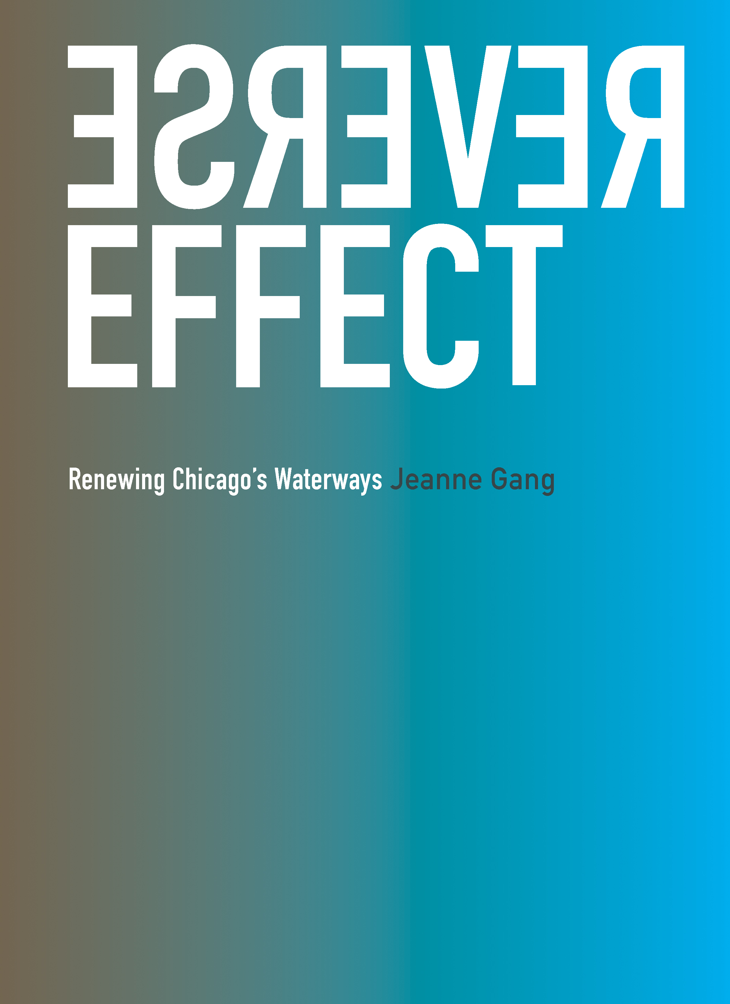 Reverse effect. Реверс эффект. Jeanne gang. Books Chicago. Jeanne gang Architect.
