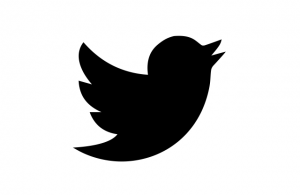Twitter-changes-new-vine1