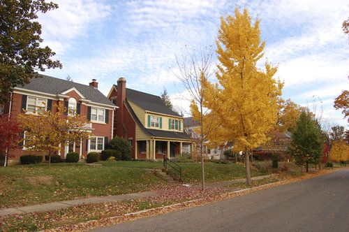 rsz_fall_trees-_houses