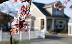 spring-home-buyers-guide-redfin