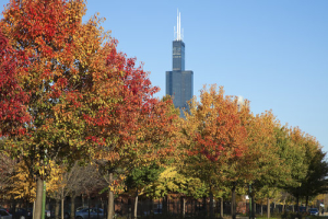 chicago-fall-autumn-sears-tower-housing-market