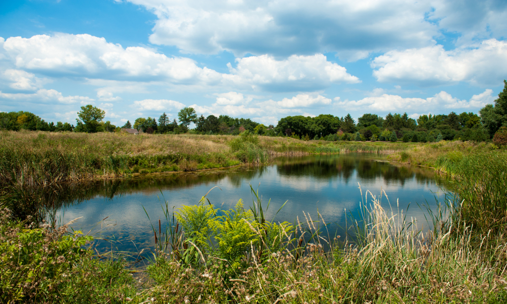 11 Templeton Drive, Oak Brook Chicago Agent Magazine